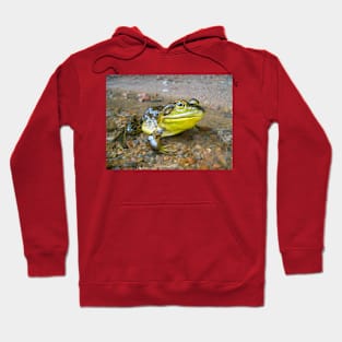 Wild life design Hoodie